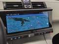 DS Automobiles DS 7 Opera 1.5 130cv BlueHDi EAT8 AZIENDALE! Grau - thumbnail 17
