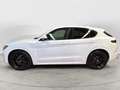 Alfa Romeo Stelvio 2.0 Turbo 280 CV AT8 Q4 Veloce Bianco - thumbnail 3