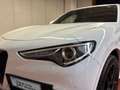 Alfa Romeo Stelvio 2.0 Turbo 280 CV AT8 Q4 Veloce Bianco - thumbnail 8