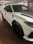 Lamborghini Urus Performante (Importo + Subentro Leasing) Bianco - thumbnail 2