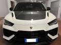 Lamborghini Urus Performante (Importo + Subentro Leasing) Bianco - thumbnail 1