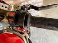 Ducati Monster 900 Rosso - thumbnail 7