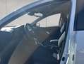 Toyota Yaris Hybrid 1.5 VVT-i Business Edition 5-türig Weiß - thumbnail 10