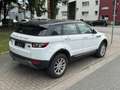 Land Rover Range Rover Evoque Pure Blanc - thumbnail 4