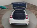 Fiat 500X 1.0 Sport 120cv Weiß - thumbnail 10