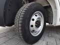 Fiat Ducato 2.2 MJT 120CV CH1 L1H1 Bianco - thumbnail 14