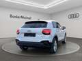 Audi Q2 2.0TDI quattro S Line AmbL MultiCam LED Weiß - thumbnail 5