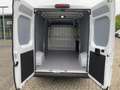 Toyota Proace Kasten L3H2 BlueHDi 140 Work 35**KAMERA** Weiß - thumbnail 13