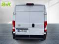 Toyota Proace Max Kasten L3H2 BlueHDi 140 Work 35**KAMERA** Alb - thumbnail 3