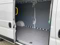Toyota Proace Kasten L3H2 BlueHDi 140 Work 35**KAMERA** Weiß - thumbnail 12