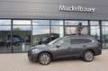 Subaru OUTBACK Platinum Leder braun Grau - thumbnail 1