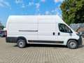 Fiat Ducato Maxi 35 L5H3 140 M-Jet | 260° Türen Sofo... Wit - thumbnail 6