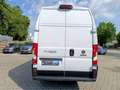 Fiat Ducato Maxi 35 L5H3 140 M-Jet | 260° Türen Sofo... Weiß - thumbnail 4