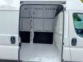 Fiat Ducato Maxi 35 L5H3 140 M-Jet | 260° Türen Sofo... Weiß - thumbnail 9