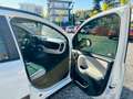Fiat Panda 1.3 mjt 16v Cross 4x4 80cv - thumbnail 3