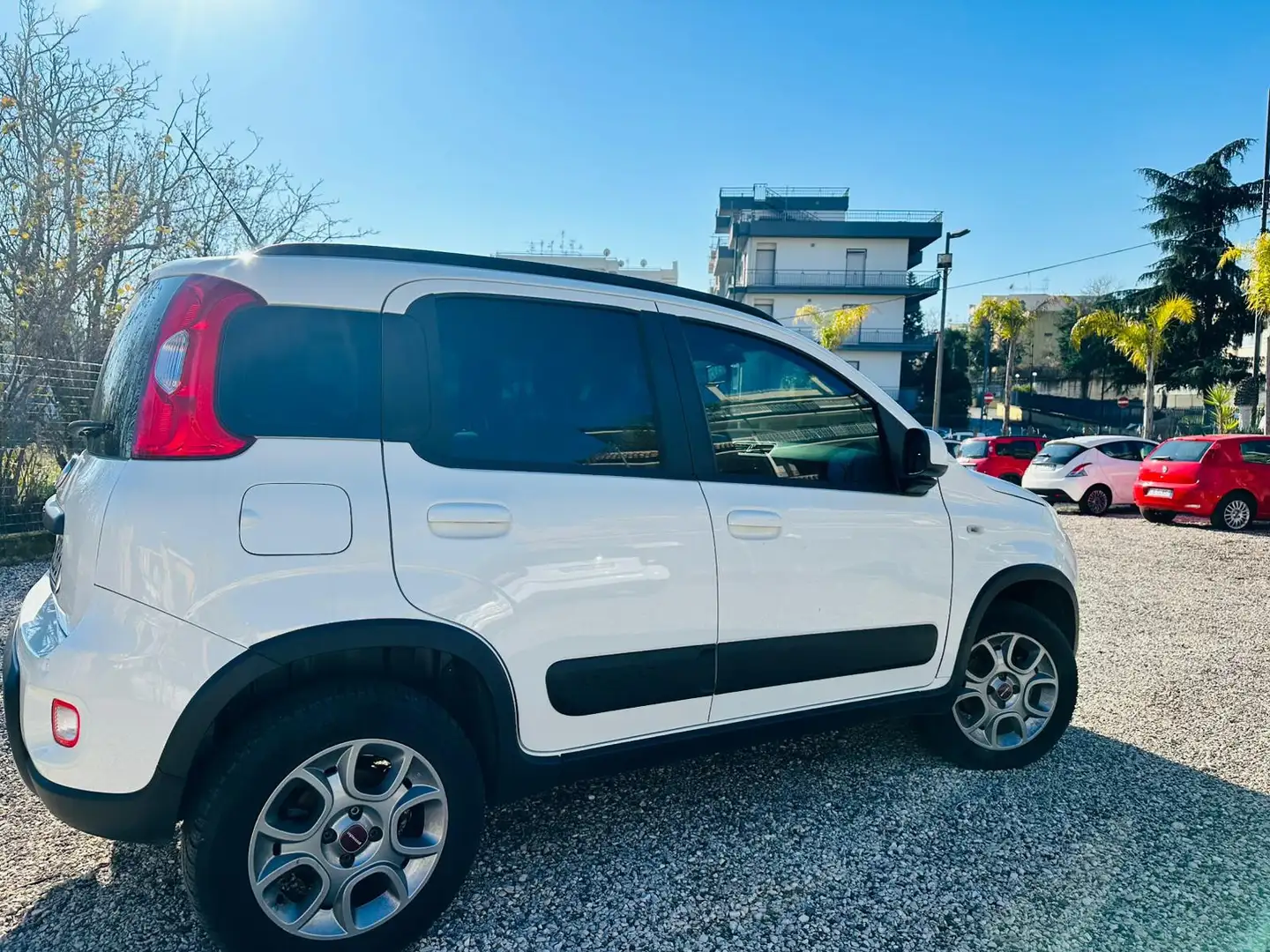 Fiat Panda 1.3 mjt 16v Cross 4x4 80cv - 2