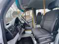 Mercedes-Benz Sprinter 313 Cdi BlueTEC Maxi 9Sitze+Lift Klima Weiß - thumbnail 13