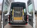Mercedes-Benz Sprinter 313 Cdi BlueTEC Maxi 9Sitze+Lift Klima Weiß - thumbnail 42