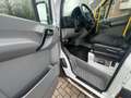 Mercedes-Benz Sprinter 313 Cdi BlueTEC Maxi 9Sitze+Lift Klima Weiß - thumbnail 11