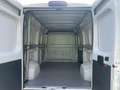 Fiat Ducato Bianco - thumbnail 11