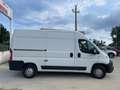 Fiat Ducato Bianco - thumbnail 3