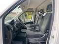Fiat Ducato Bianco - thumbnail 6