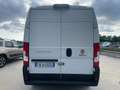 Fiat Ducato Bianco - thumbnail 4
