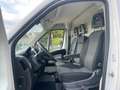 Fiat Ducato Bianco - thumbnail 9