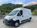 Fiat Ducato Bianco - thumbnail 1