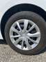 Opel Corsa Corsa 1,2 Euro 6.4 Edition Edition Weiß - thumbnail 16