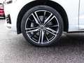 Volvo XC60 R Design AWD HUD StandHZG AHK El. Panodach Navi Le Weiß - thumbnail 3