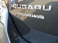 Subaru OUTBACK 2.5i Platinum MY24 - thumbnail 14