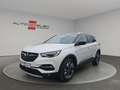 Opel Grandland X Ultimate LEDER NAVI DAB  AHK 360 Blanco - thumbnail 1