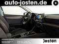 SEAT Leon Xcellence 1.0 eTSI DSG Voll-LED Parklenk Gris - thumbnail 19