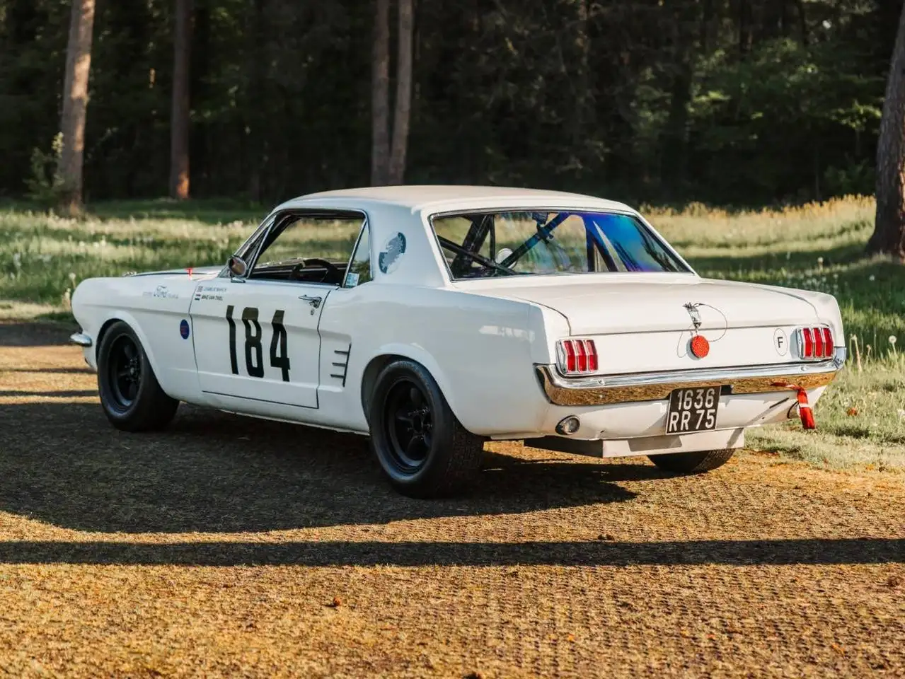 Ford Mustang Notchback, foto 6