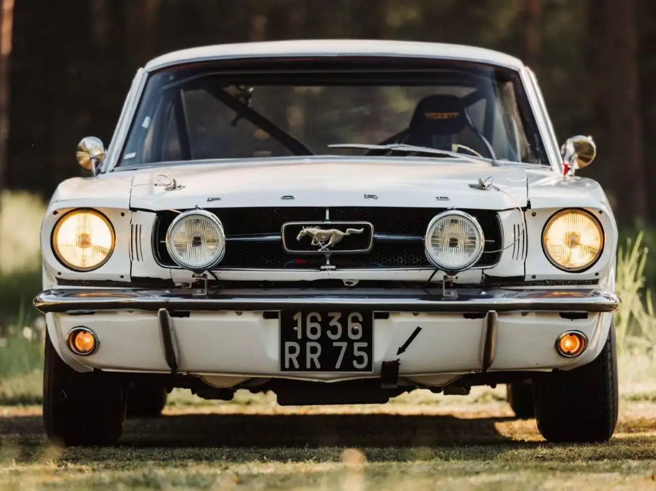Ford Mustang Notchback, foto 4