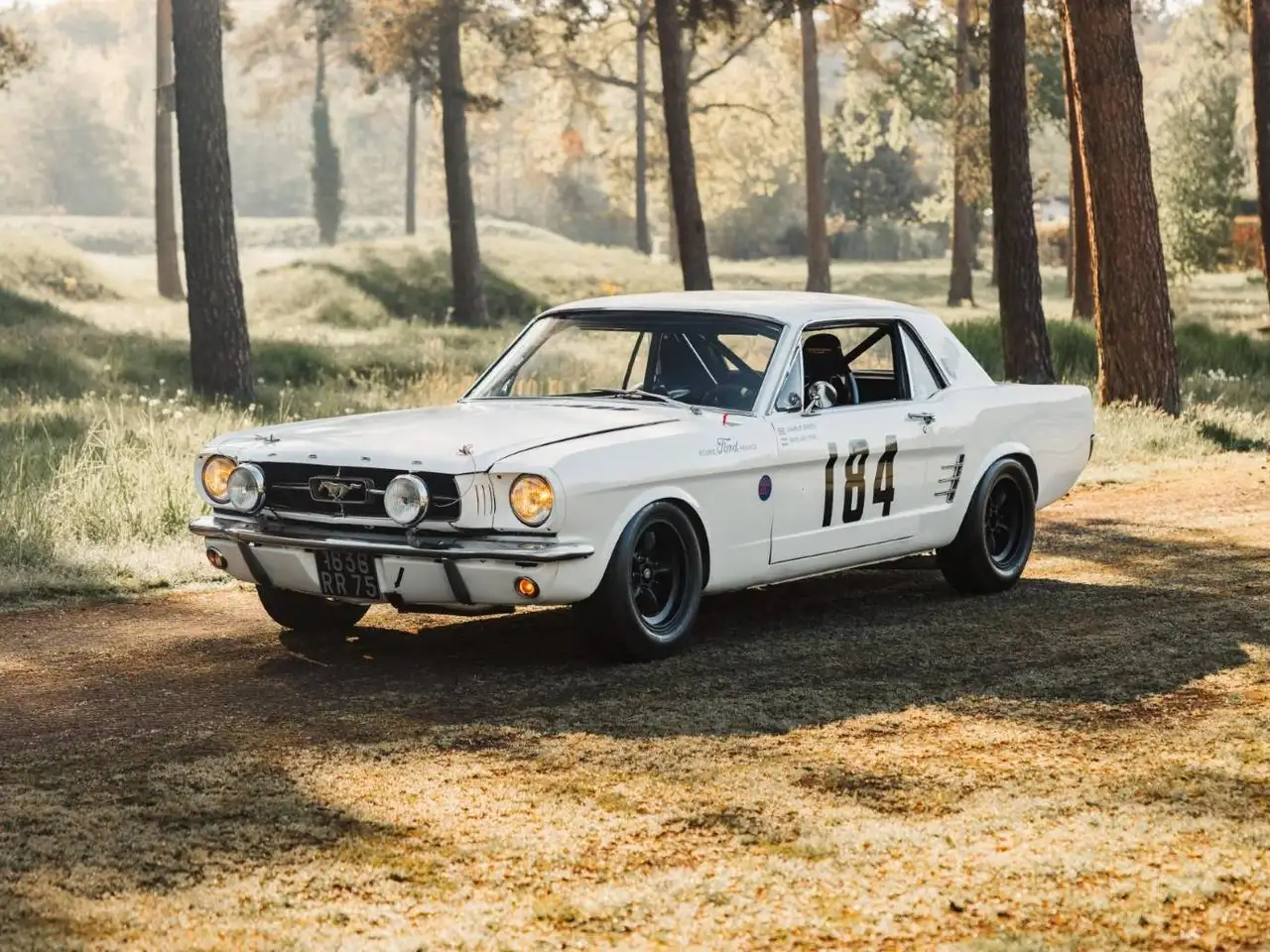 Ford Mustang Notchback, foto 2