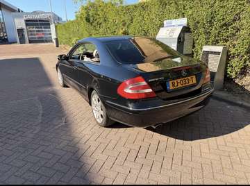 Coupe Avantgarde