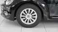 Volkswagen Beetle Cabrio*NAVI*EXCLUSIVE* - thumbnail 4