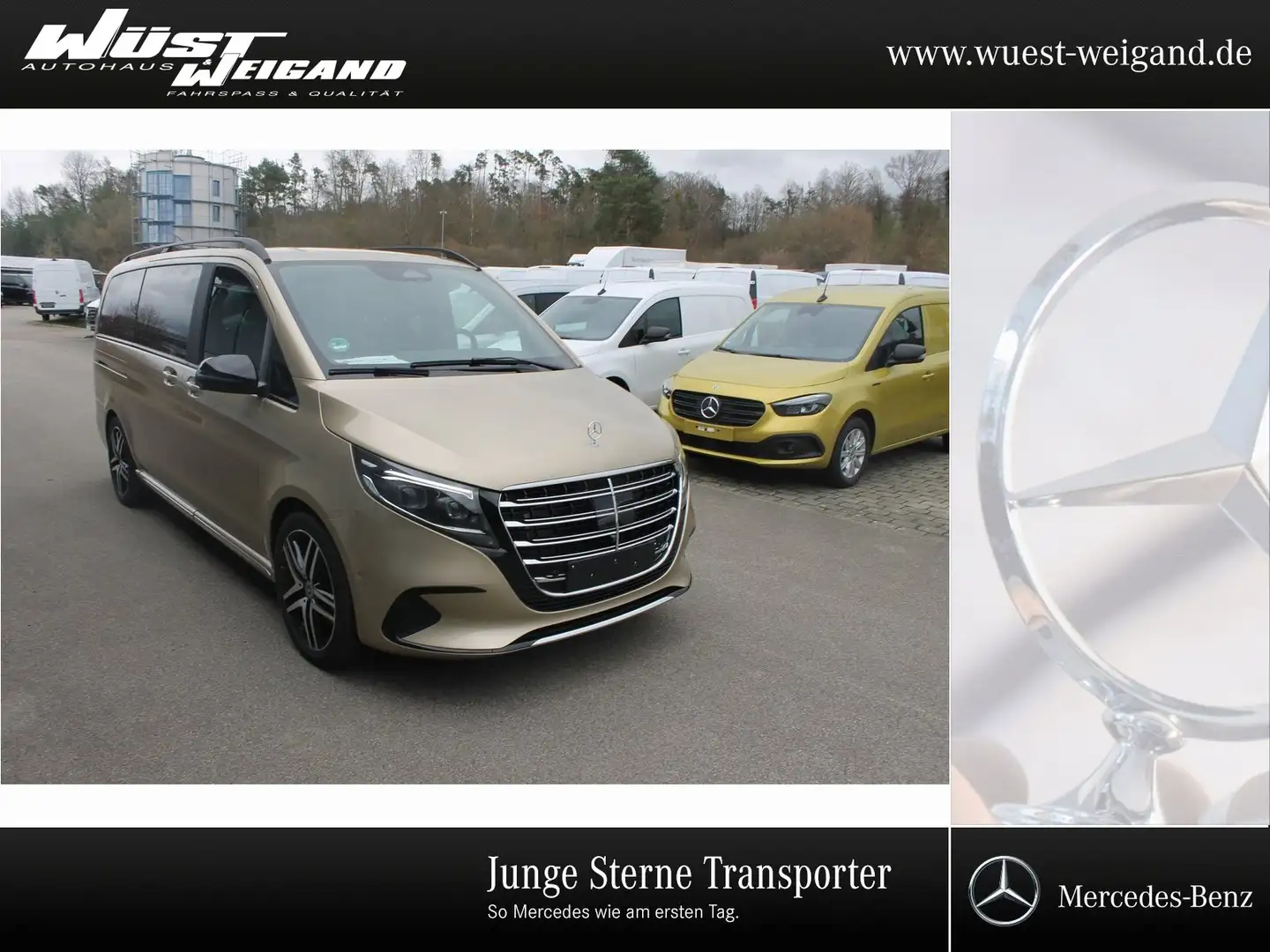 Mercedes-Benz V 300 EXCLUSIVE Lang+Benzin+Distronic+MBUX+Navi Or - 1