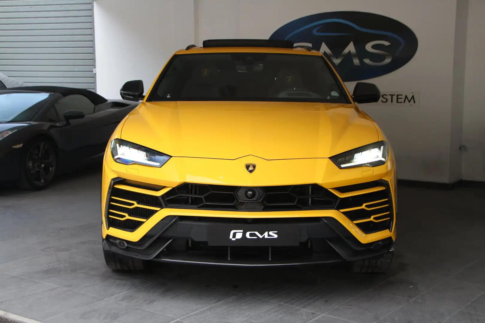 Lamborghini Urus Urus 4.0 V8 650 ch BVA8 - 2