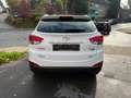 Hyundai iX35 5 Star Edition AWD Klimaau.,SHZ,PDC,1.Hand Weiß - thumbnail 6