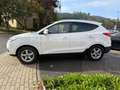 Hyundai iX35 5 Star Edition AWD Klimaau.,SHZ,PDC,1.Hand Weiß - thumbnail 8