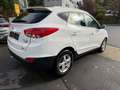 Hyundai iX35 5 Star Edition AWD Klimaau.,SHZ,PDC,1.Hand Weiß - thumbnail 5