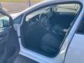 Volkswagen Golf Variant Golf+Variant+1.6+TDI+BlueMotion+Trendline Weiß - thumbnail 9
