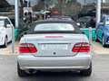 Mercedes-Benz CLK 230 Kompressor cat Cabrio Elegance*OttimeCondizioni Grigio - thumbnail 5
