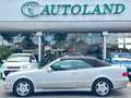 Mercedes-Benz CLK 230 Kompressor cat Cabrio Elegance*OttimeCondizioni Grigio - thumbnail 7