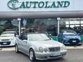 Mercedes-Benz CLK 230 Kompressor cat Cabrio Elegance*OttimeCondizioni Grigio - thumbnail 2
