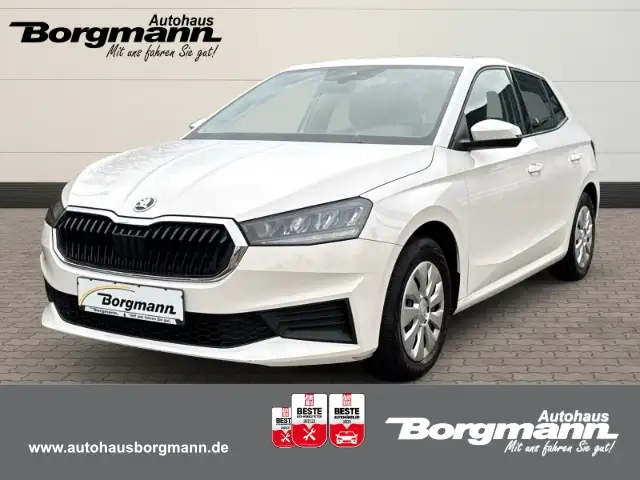 Skoda Fabia Active 1,0 MPI 48kW 5-Gang