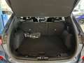 Ford Kuga 2.5 Full Hybrid ST-Line X   2wd 190cv cvt Blu/Azzurro - thumbnail 9